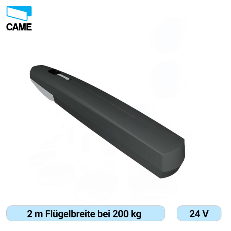 CAME AXI20DGS – Hochwertiger Drehtorantrieb für Häuser und Wohnanlagen