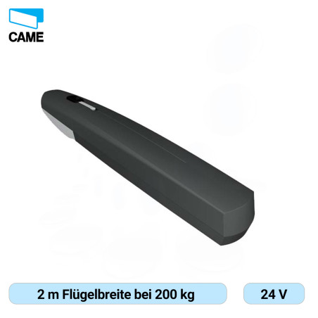 CAME AXI20DGS – Hochwertiger Drehtorantrieb für Häuser und Wohnanlagen