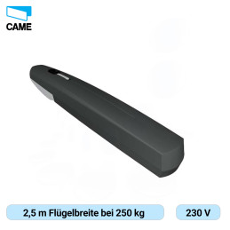 CAME AXI25DGS – Hochwertiger Drehtorantrieb für Häuser und Wohnanlagen