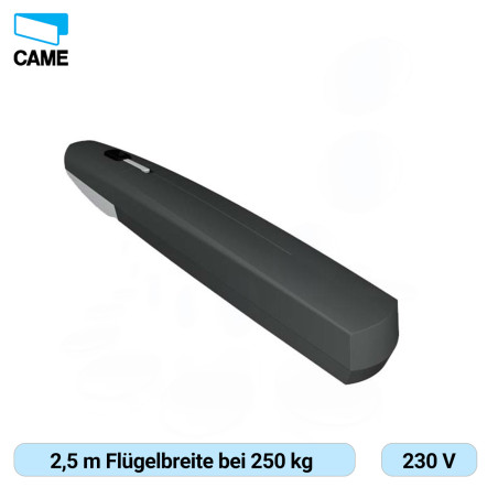 CAME AXI25DGS – Hochwertiger Drehtorantrieb für Häuser und Wohnanlagen