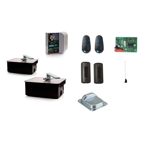 Set M für zweiflügeliges Drehtor CAME FROG AE 230V