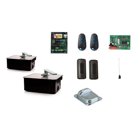 Set M für zweiflügeliges Drehtor CAME FROG A24 24V