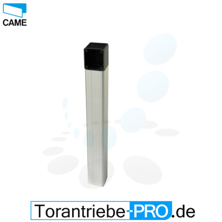 Lichtschrankensäule CAME DOC-L