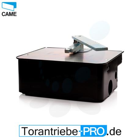 Unterflurantrieb CAME FROG A24 incl. Montagewanne