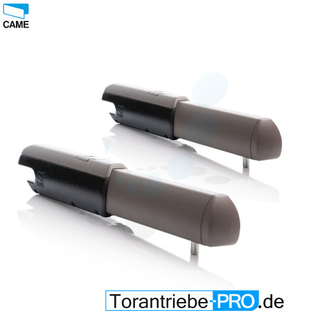 2 Stck. Drehtorantrieb CAME ATI A3024N