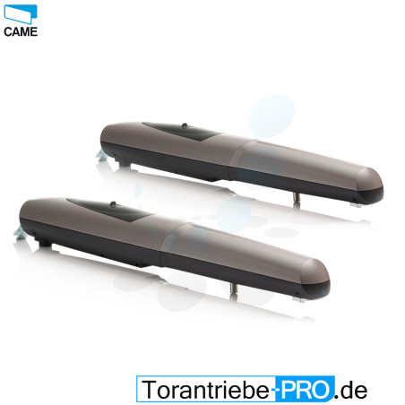 2 Stck. Drehtorantrieb CAME AXO AX3024 