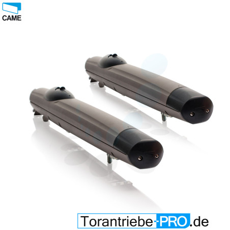 2 Stck. Drehtorantrieb CAME AMICO 24V