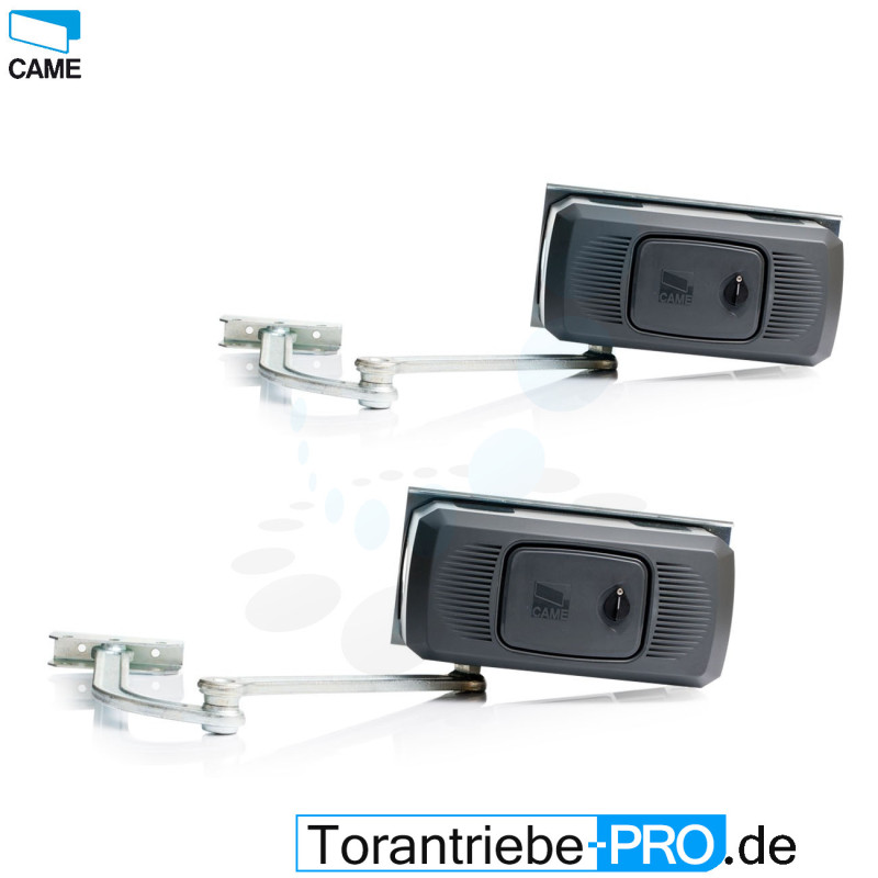 2 Stck. Drehtorantrieb CAME FERNI 1000 