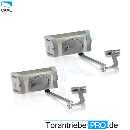 2 Stck. Drehtorantrieb CAME FERNI 4024