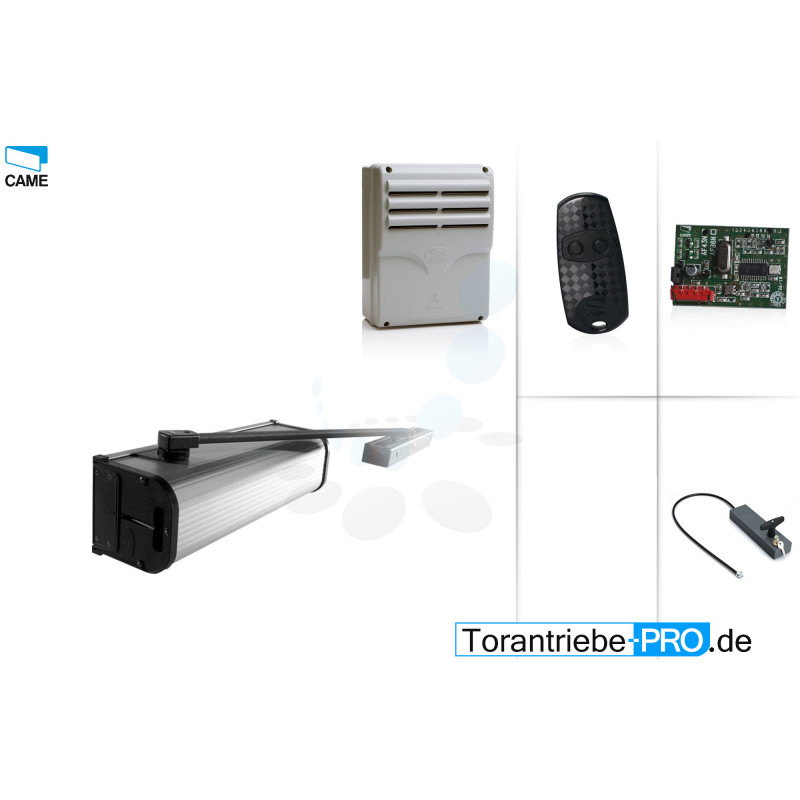 Set Falttorantrieb CAME F4000 für einflügeliges Tor