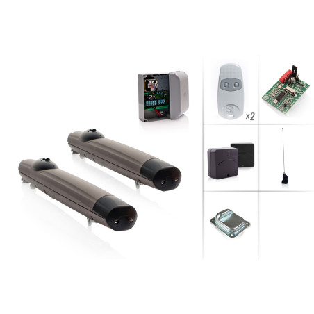 Set Drehtorantrieb CAME AMICO 230V/2 