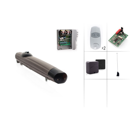 Set Drehtorantrieb CAME AMICO 24V/1