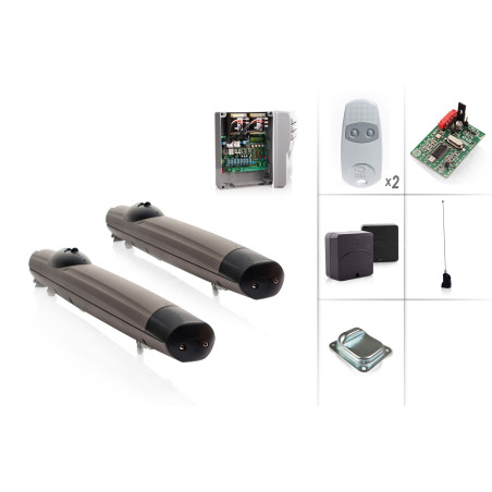 Set Drehtorantrieb CAME AMICO 24V/2 