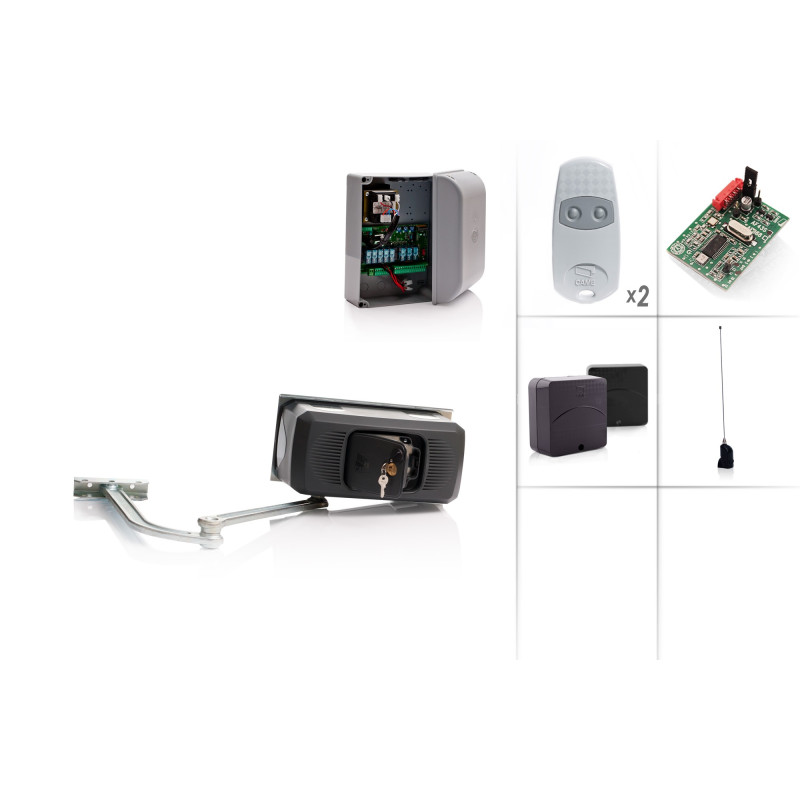 Set Drehtorantrieb CAME FERNI 1000/1 