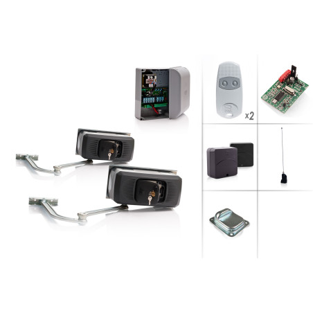 Set Drehtorantrieb CAME FERNI 1000/2 