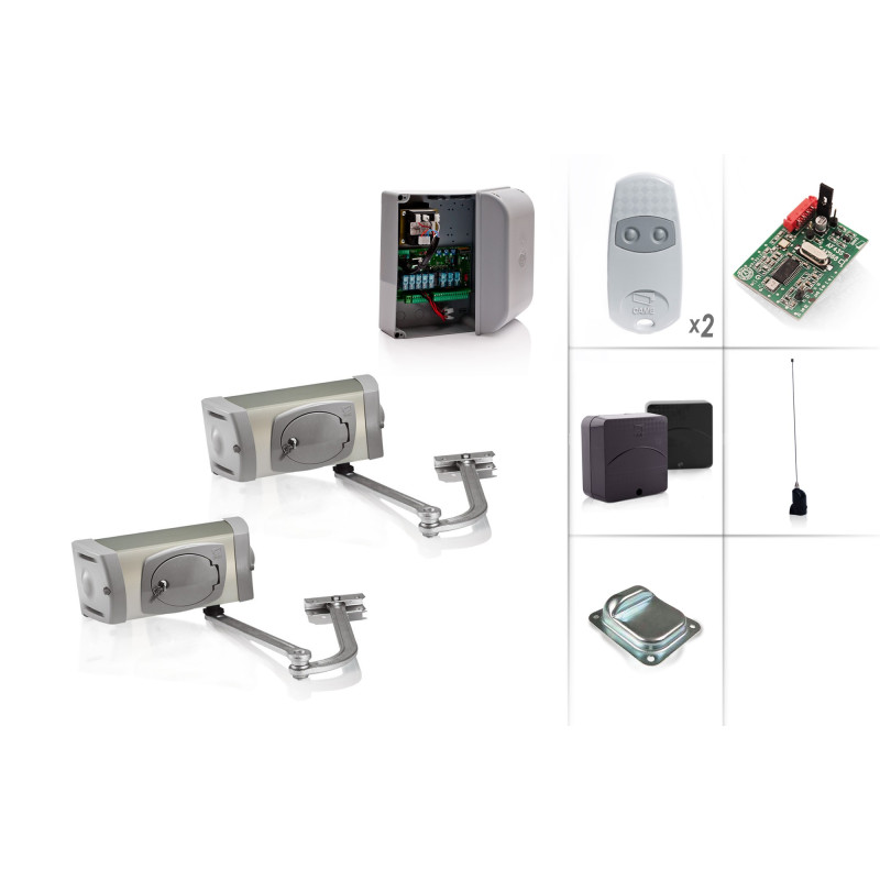 Set Drehtorantrieb CAME FERNI 40230/2