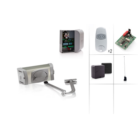 Set Drehtorantrieb CAME FERNI 4024/1 