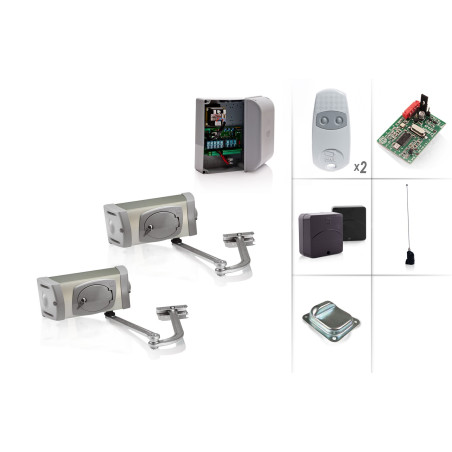 Set Drehtorantrieb CAME FERNI 4024/2 