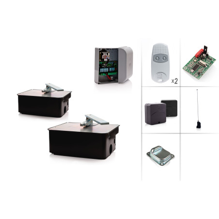 Set Unterflurantrieb CAME FROG AV/2 