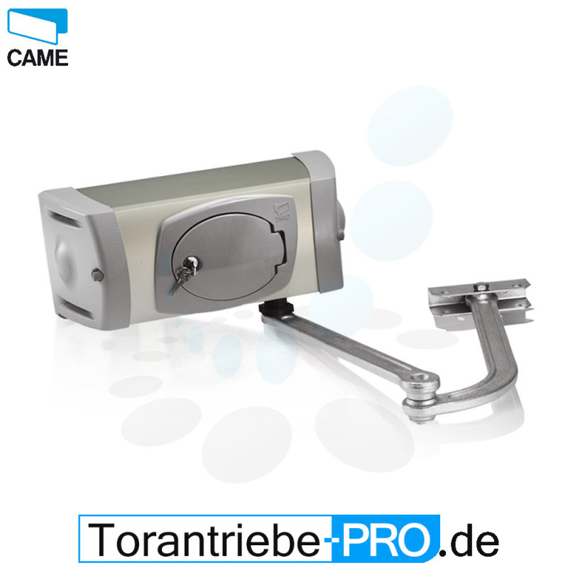 Drehtorantrieb CAME FERNI 40230 