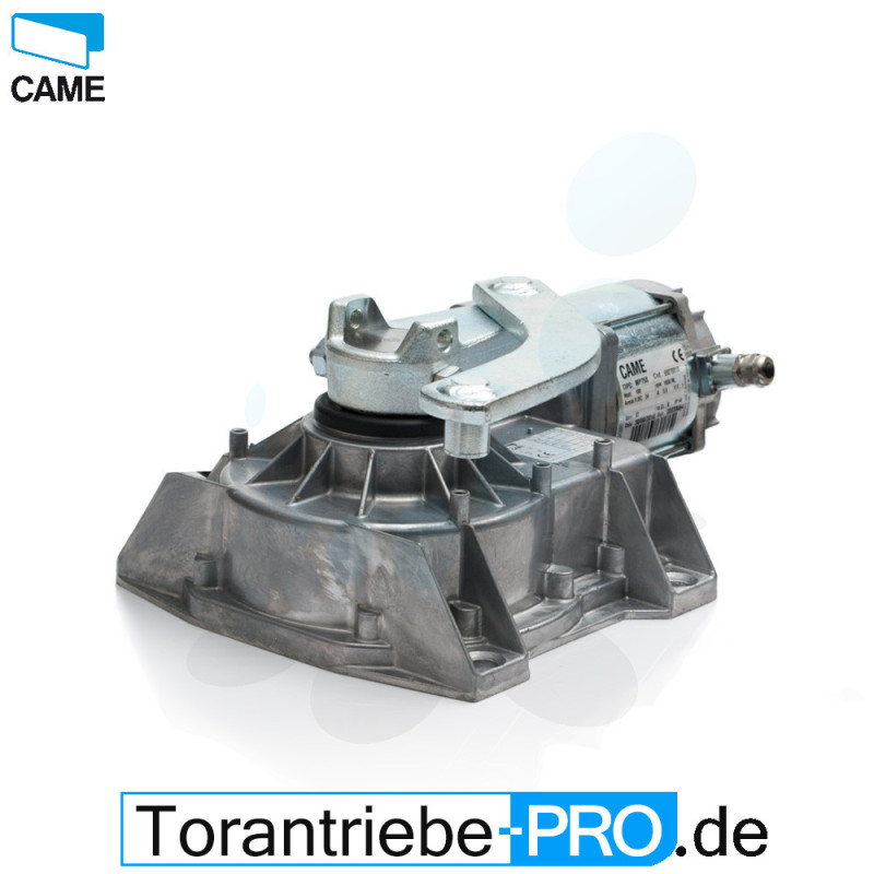 Unterflurantrieb CAME FROG AE