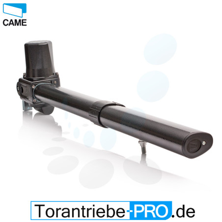 Drehtorantrieb CAME KRONO A